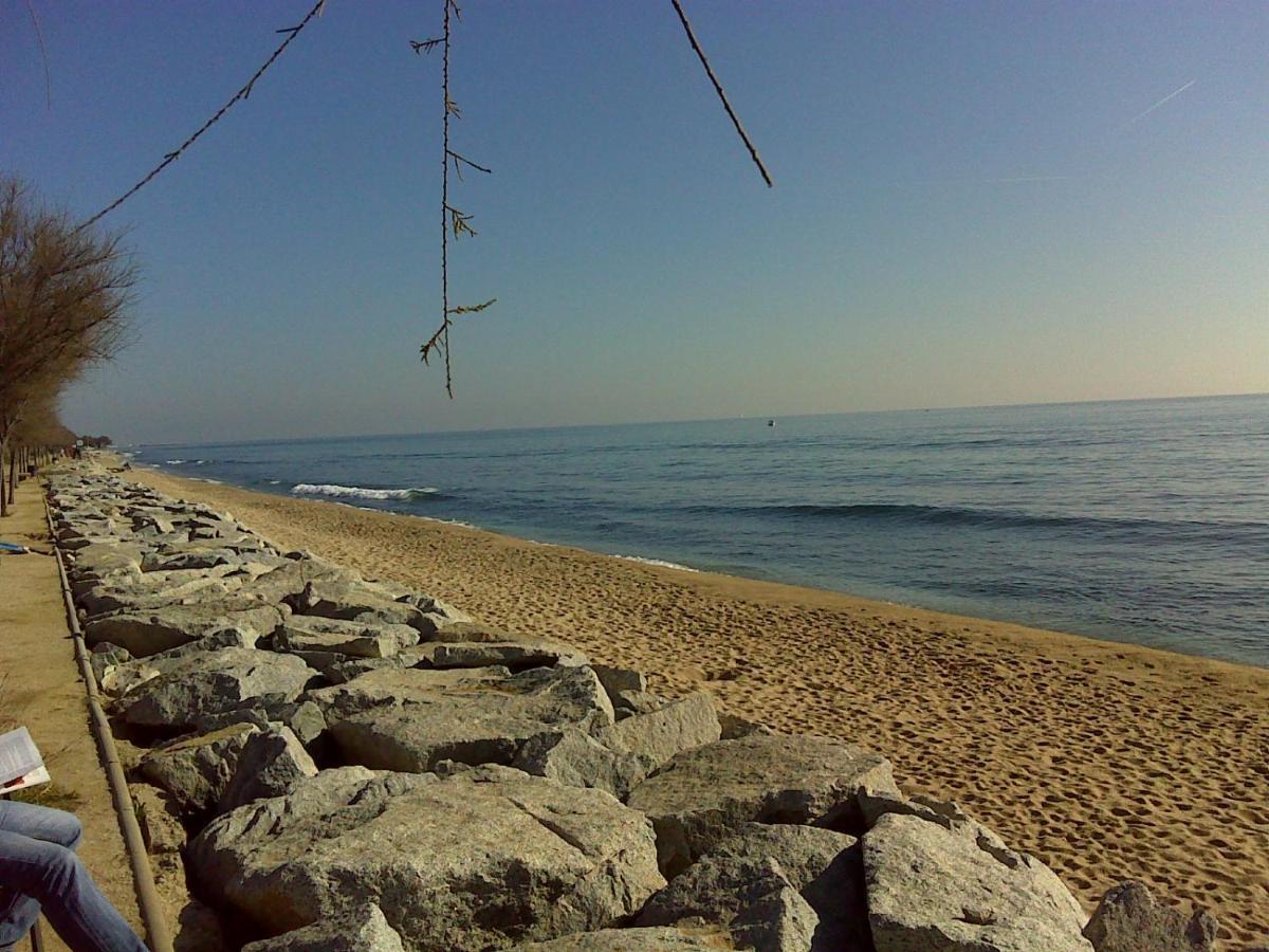 Apartament Tata'S House, Junto Playa Y Barcelona Centro El El Masnou Zewnętrze zdjęcie
